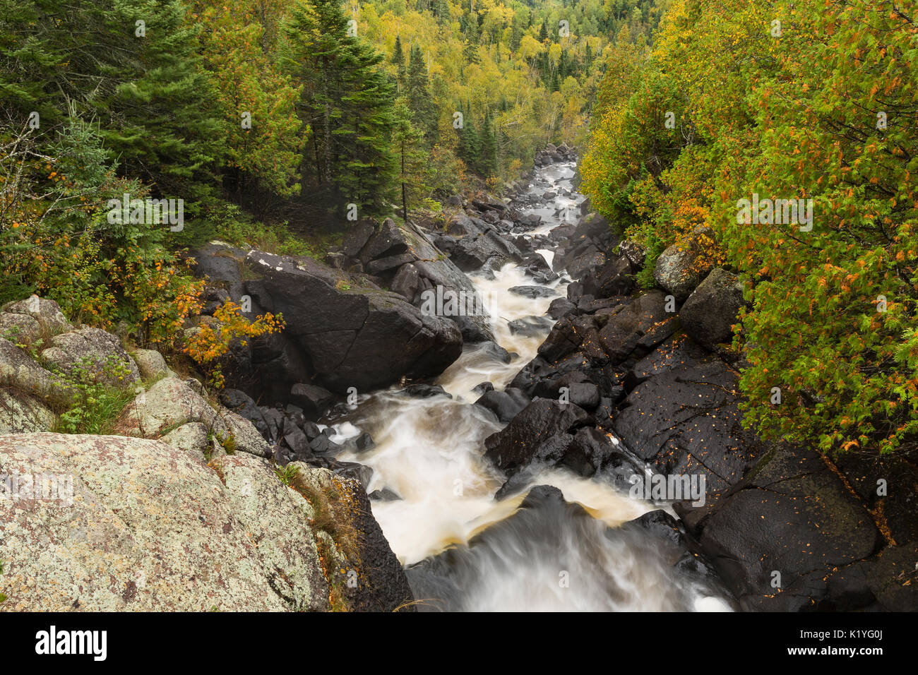 Poplar river hires stock photography and images Alamy