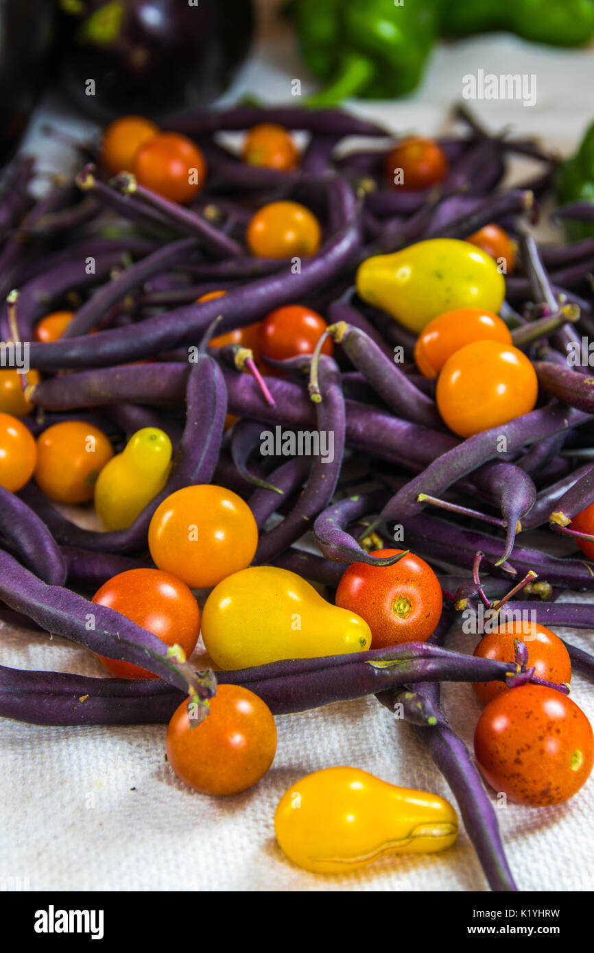 Vertical shallow focus photo of colorful tomatoes, purple beans, bell peppers, and eggplant on a white surface Stock Photo