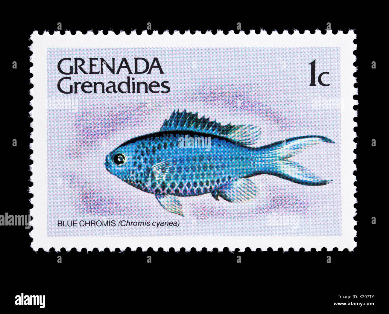 Postage stamp from Grenada Grenadines depicting a blue chromis (Chromis cyanea) Stock Photo