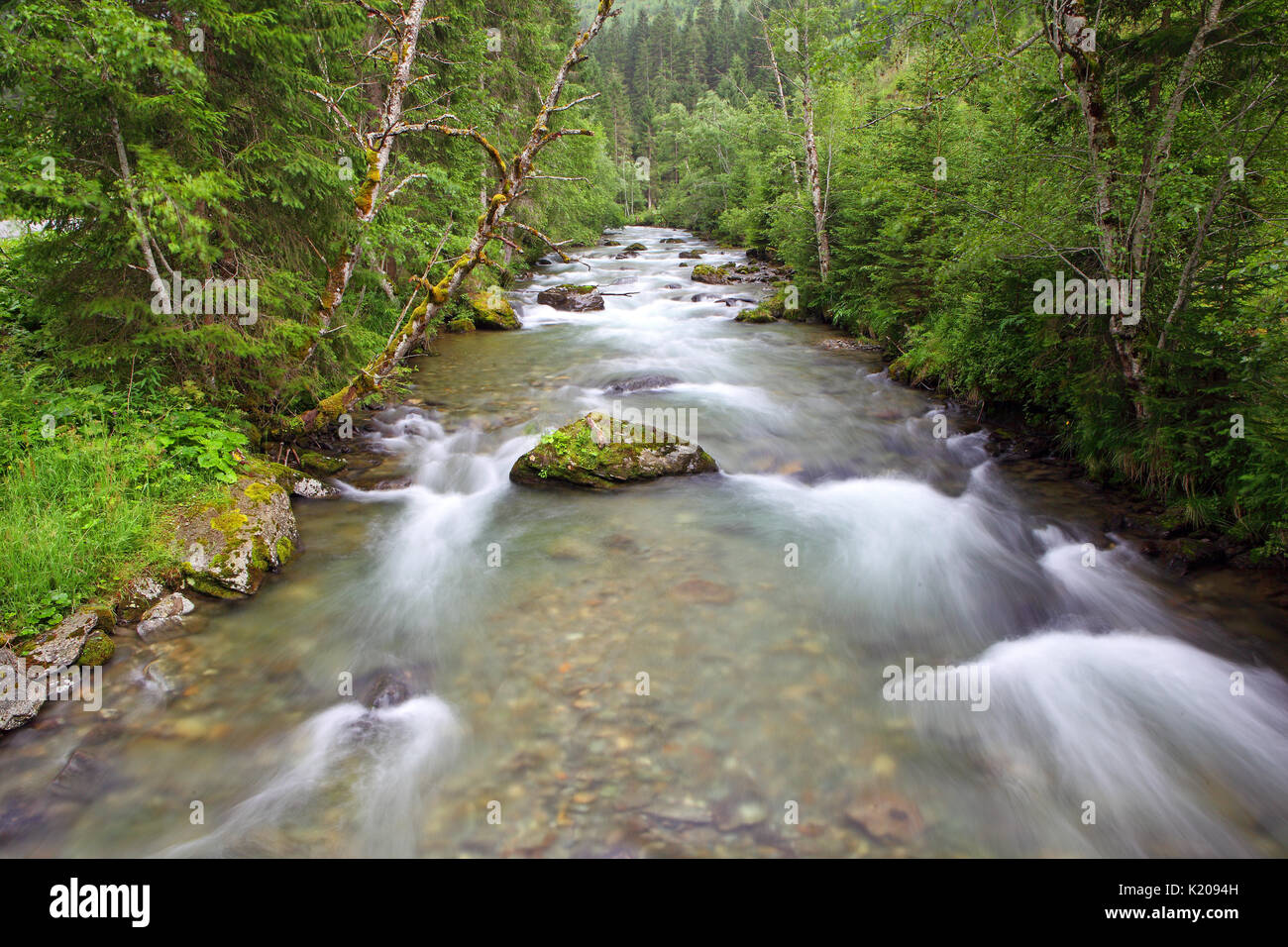 Untertal creek, Rohrmoss-Untertal, Styria, Austria Stock Photo
