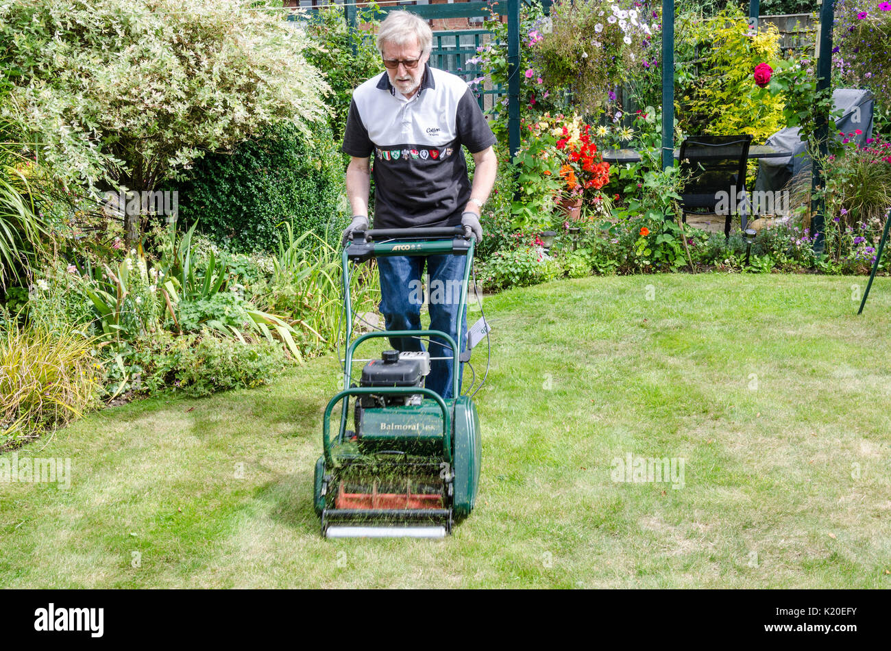 A man cuts his back lawn with a petrol powered lawn mower. Stock Photo