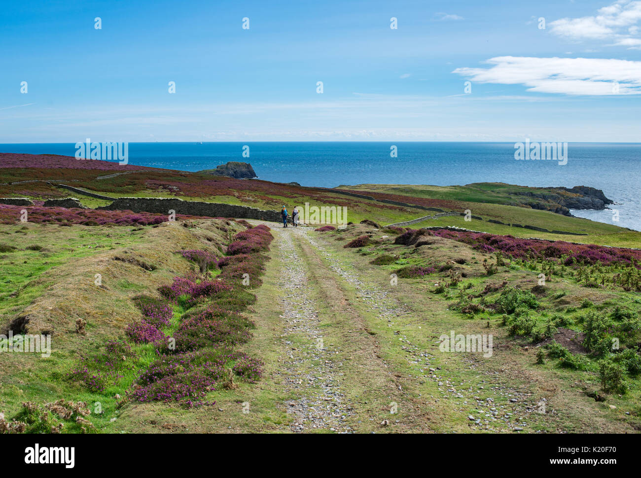 Road on Calf of Man, people walking in the distance, scenic view over the bay Stock Photo