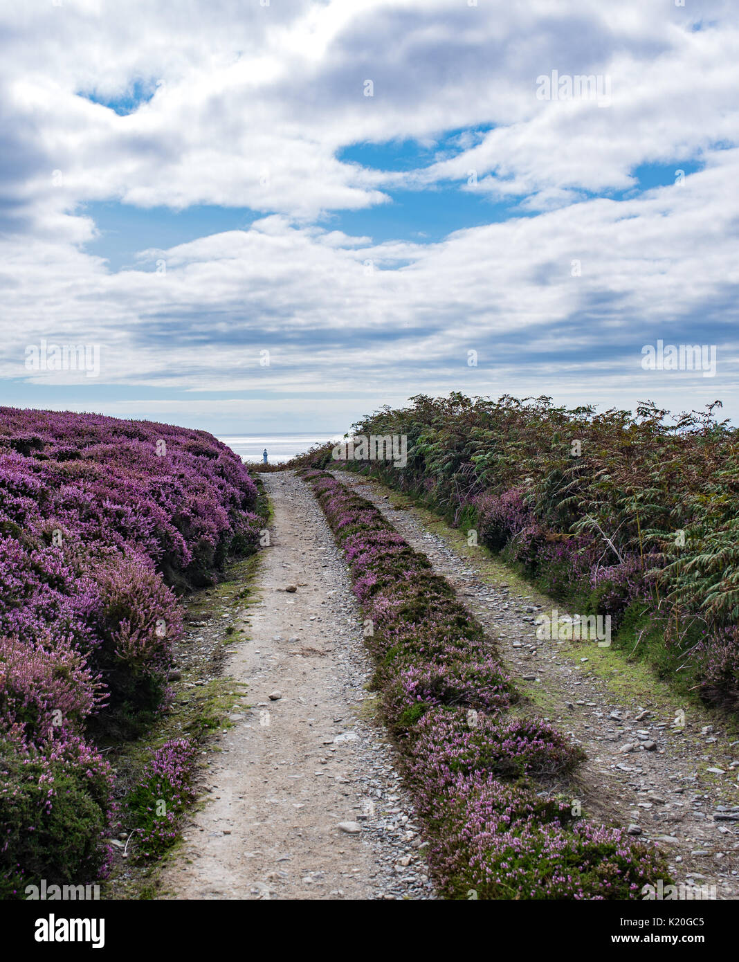 Mud road at Calf of Man, view towards sea and Chicken Rock lighthouse Stock Photo