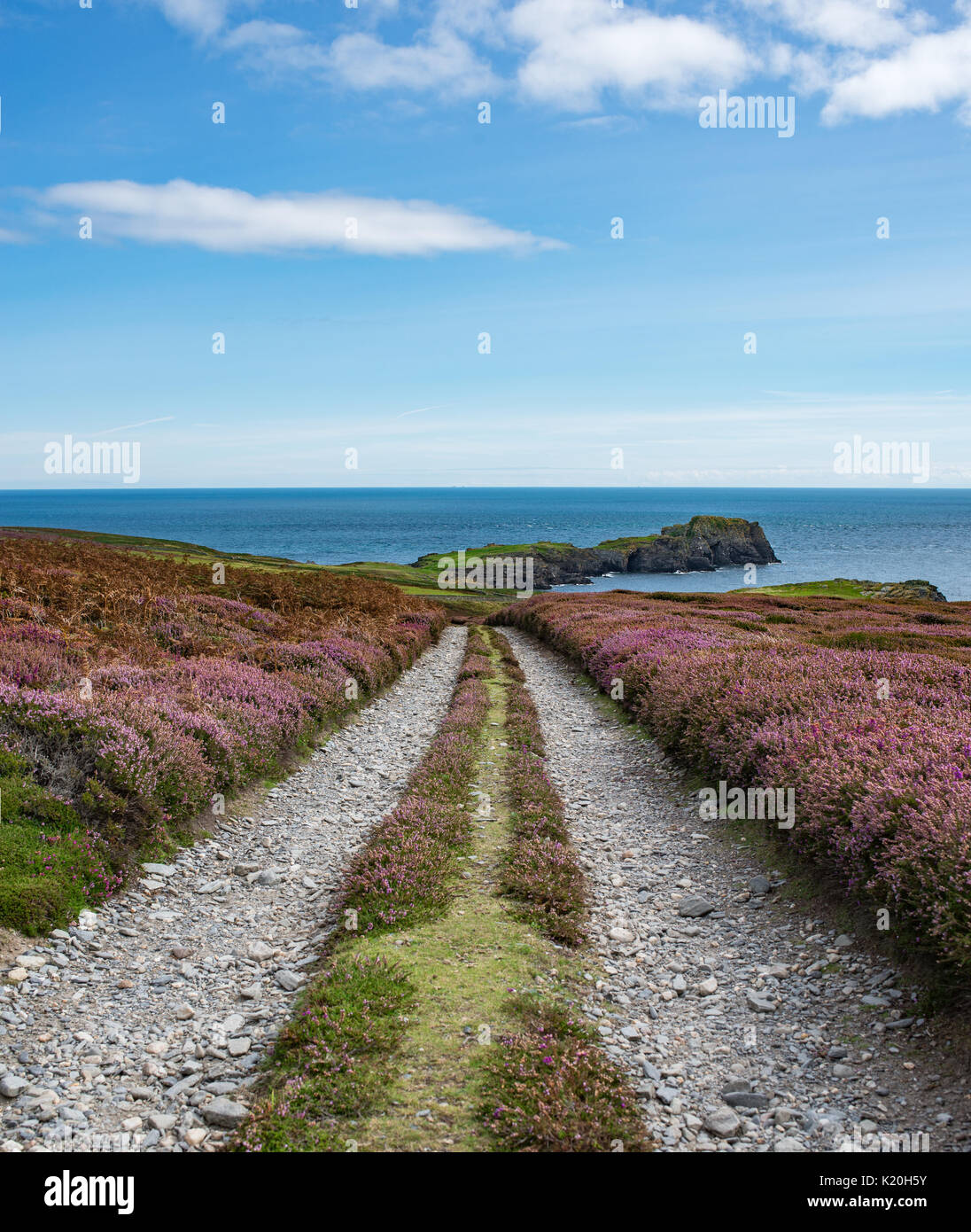 Mud road at Calf f Man, view towards sea Stock Photo