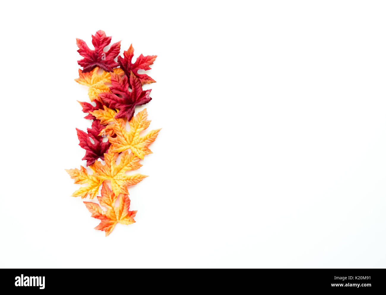 group of red, yellow and orange autumn leaves in a border row isolated ...