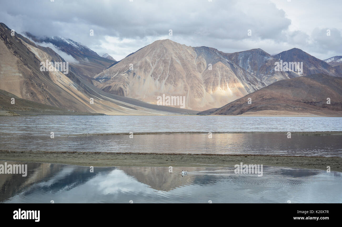 Reflection of Pangong Lake in Ladakh, India. Pangong is an endorheic lake in the Himalayas situated at a height of about 4,350m. Stock Photo