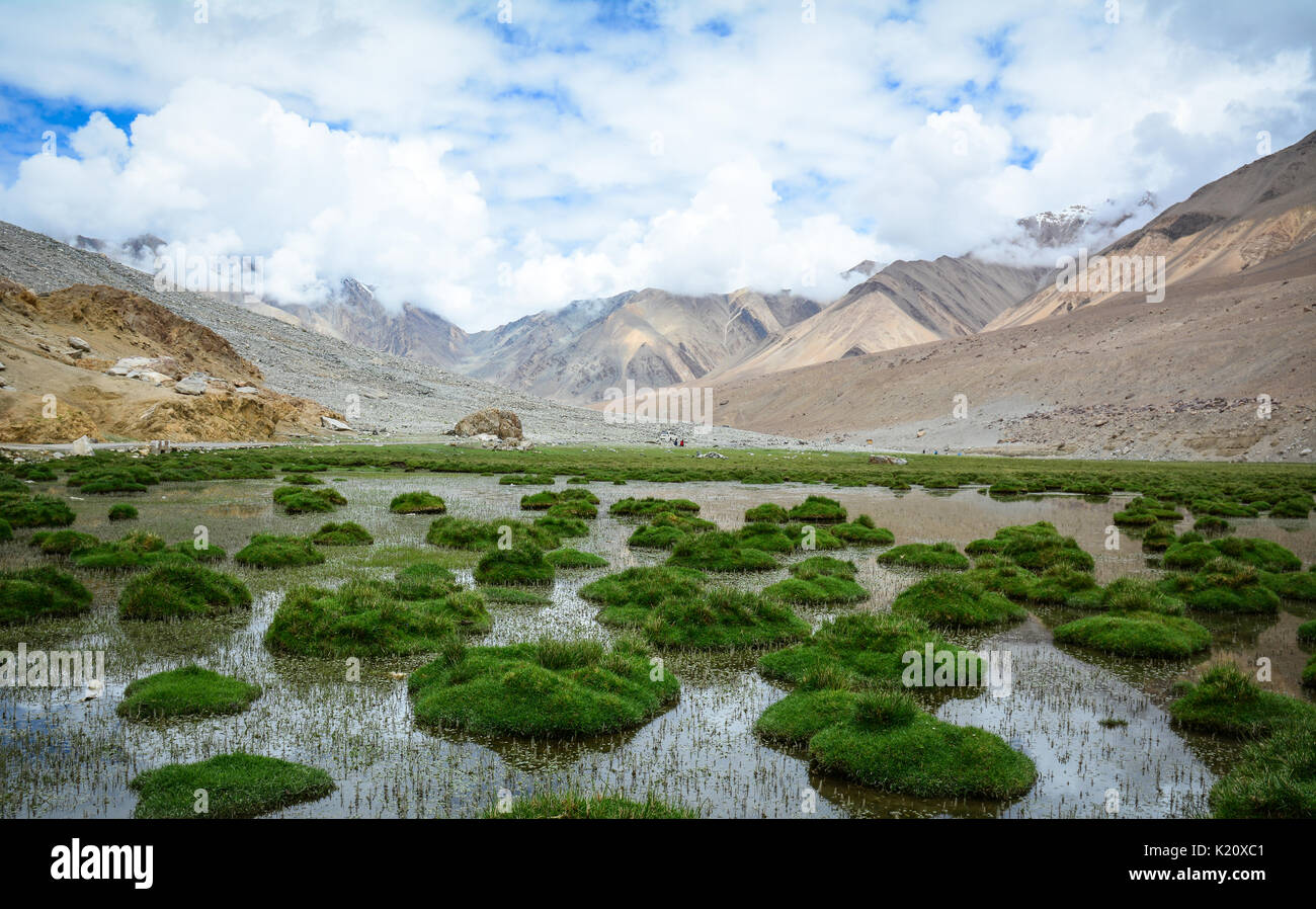 Grassland with mountains in Ladakh, India. Ladakh is the highest plateau in  the state of Jammu & Kashmir, with much of it being over 3,000m Stock Photo  - Alamy