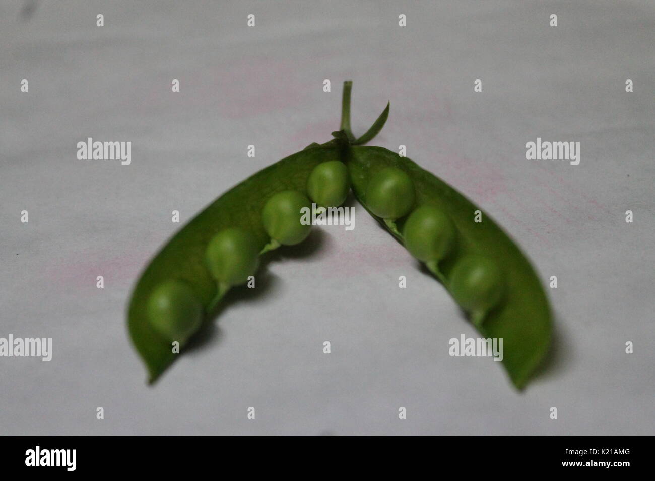 young sweet green color peas in pod prepare for cooking Stock Photo