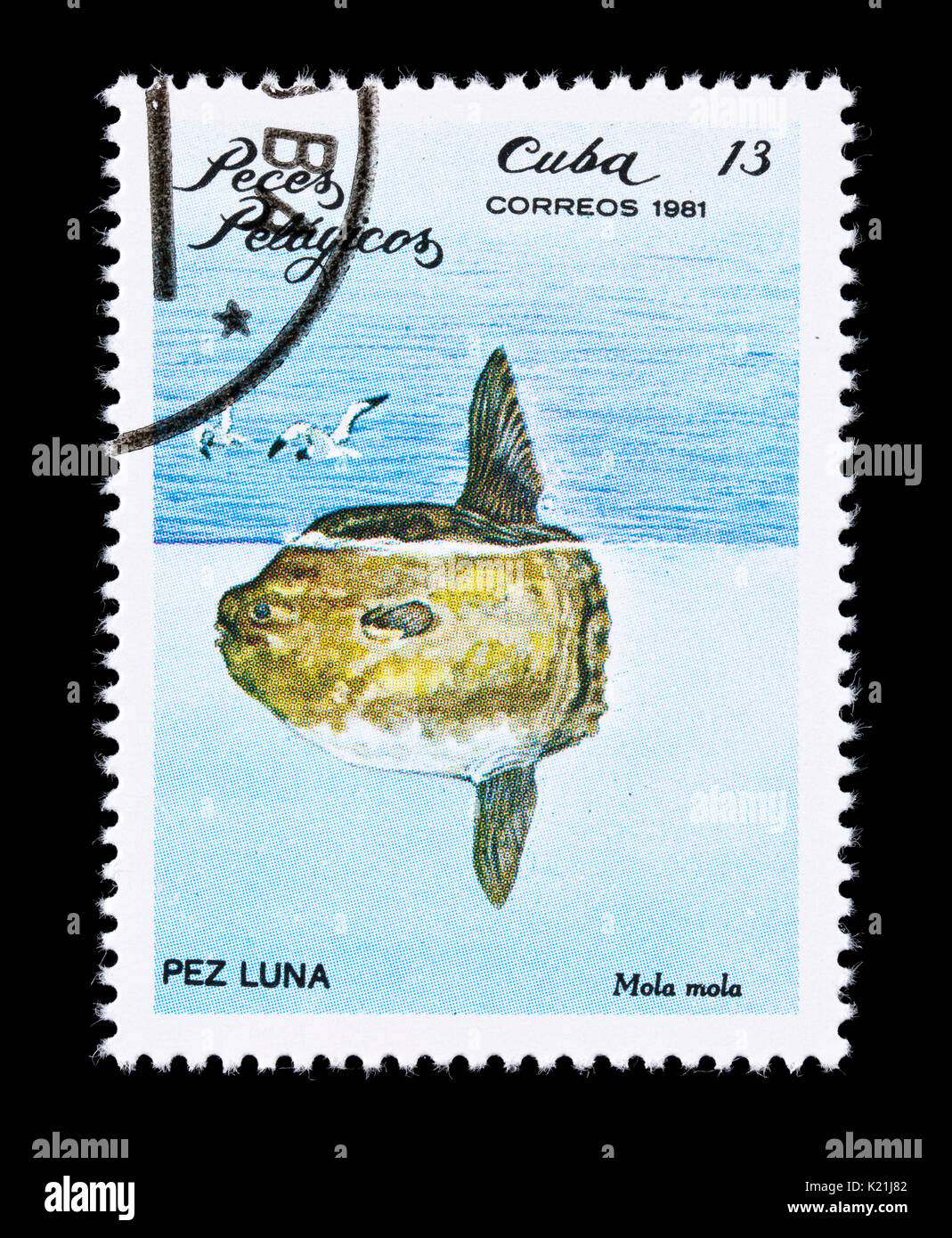 Postage stamp from Cuba depicting a Mola (Mola mola) Stock Photo
