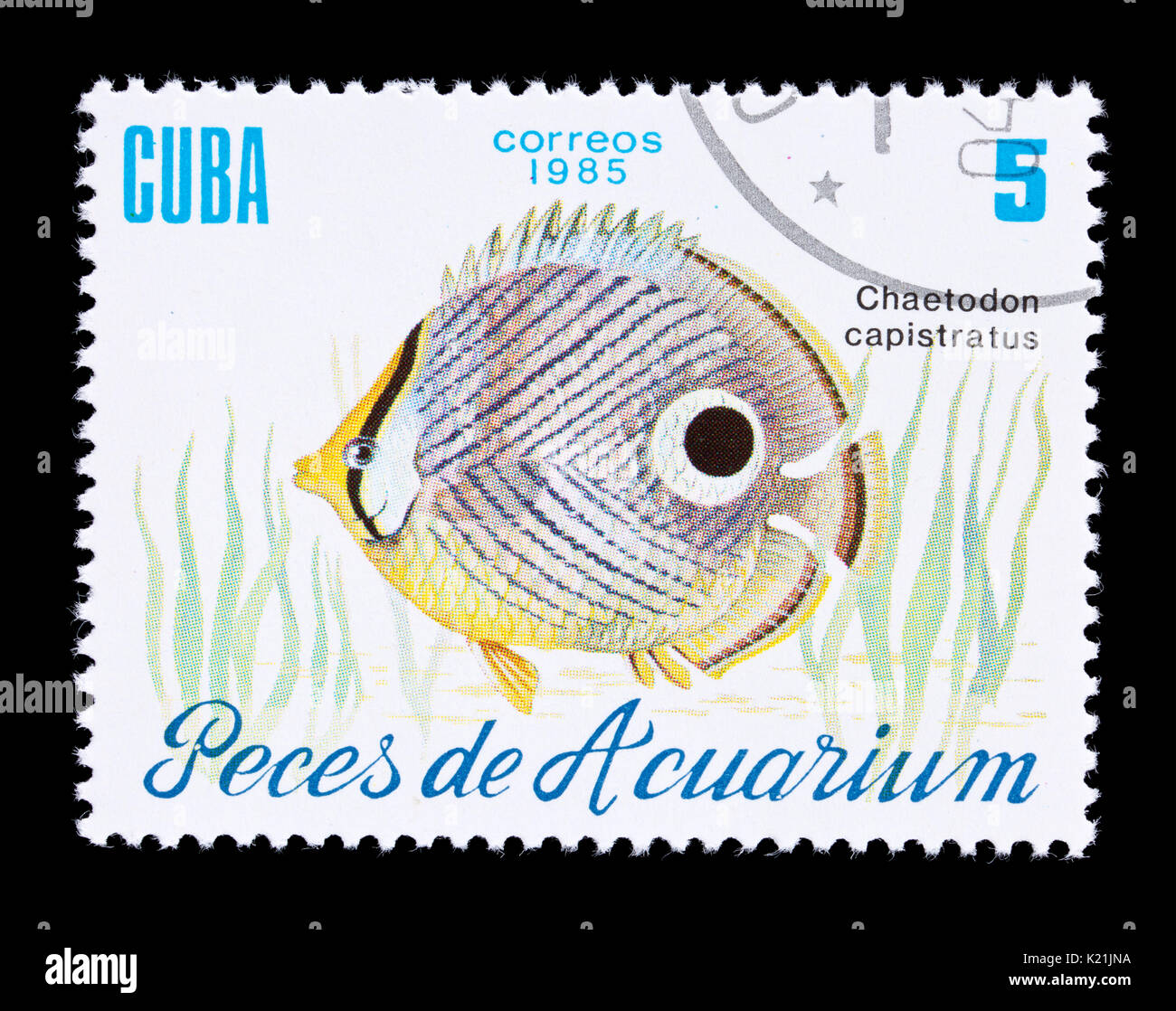 Postage stsamp from Cuba depicting a  foureye butterflyfis (Chaetodon capistratus) Stock Photo