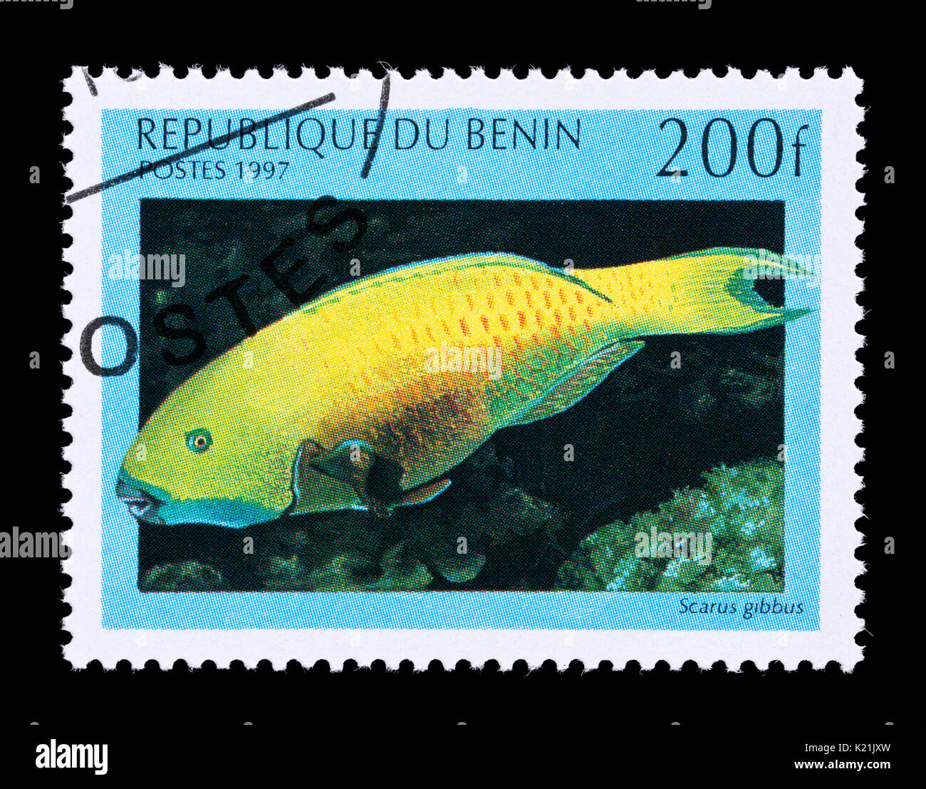 Postage stamp from Benin depicting a heavybeak parrotfish (Scarus gibbus) Stock Photo