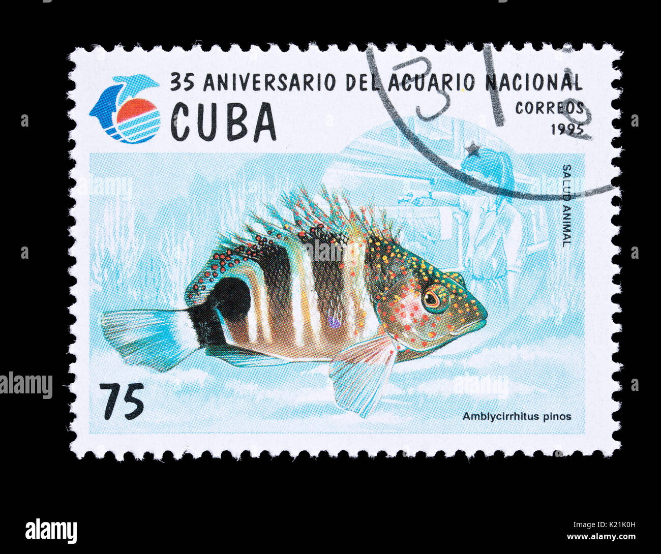 Postage stamp from Cuba depicting a (Amblycirrhitus pinos), 35'th anniversary of the National Aquarium Stock Photo