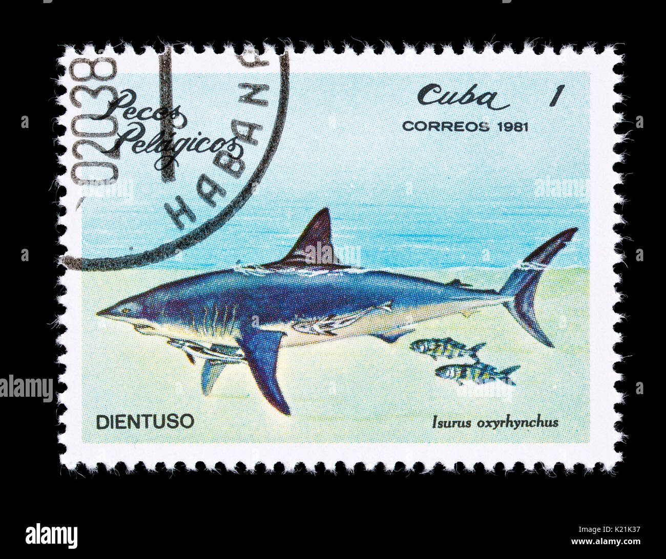 Postage stamp from Cuba depicting a (Isurus oxyrhynchus) Stock Photo