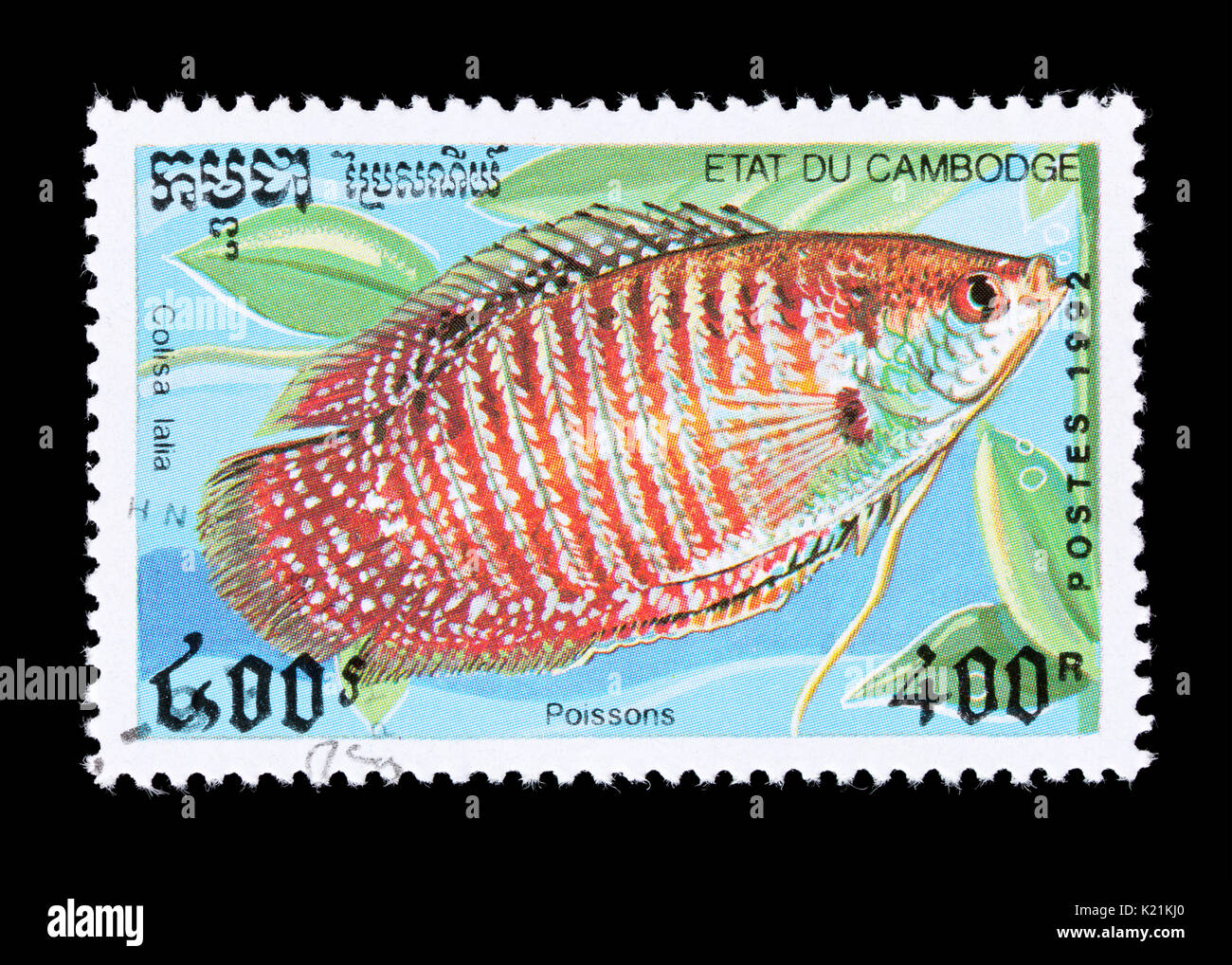 Postage stamp from Cambodia depicting a Dwarf Gourami (Colisa lalia) Stock Photo