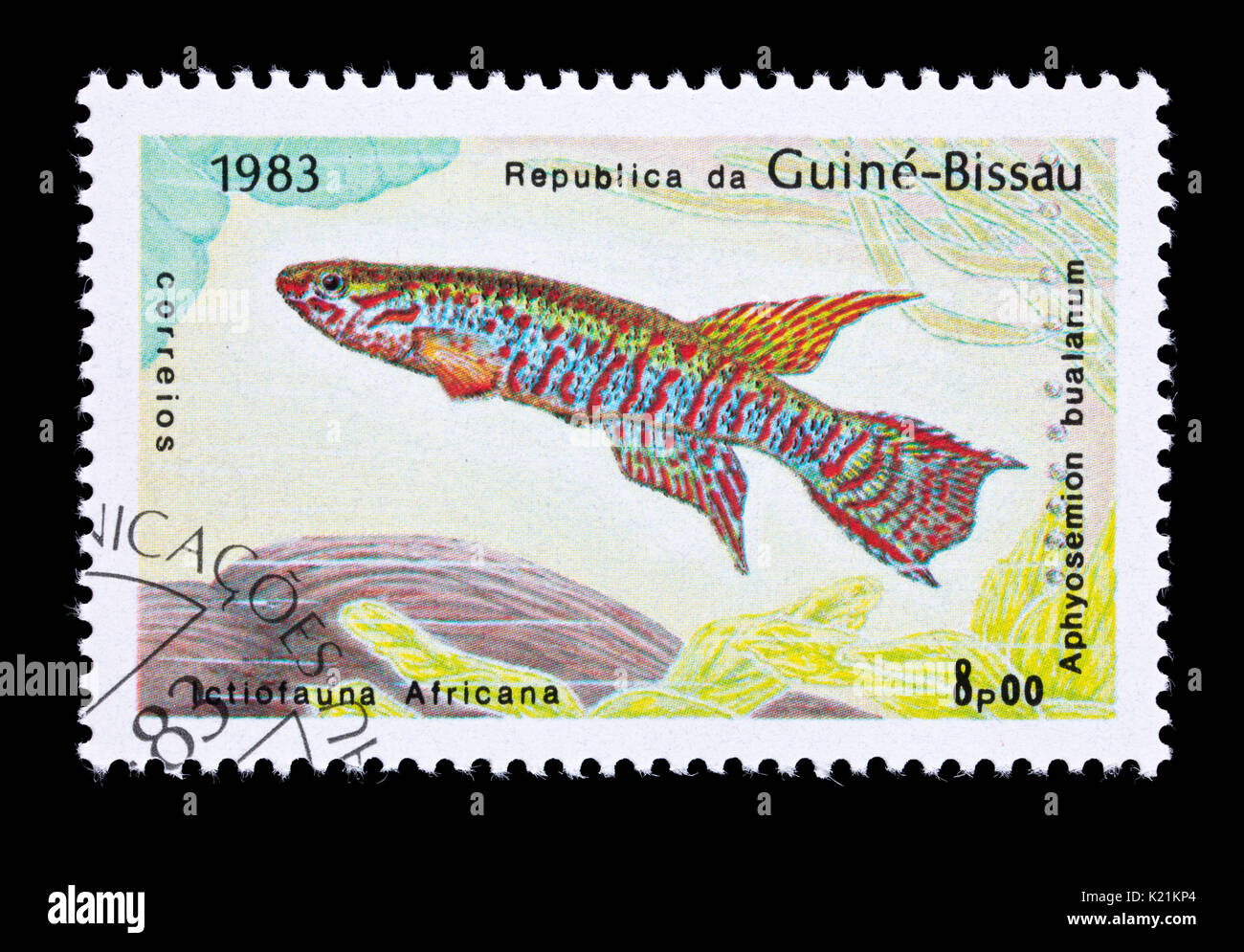 Postage stamp from Guinea-Bissau depicting a Aphyosemion bualanum Stock Photo