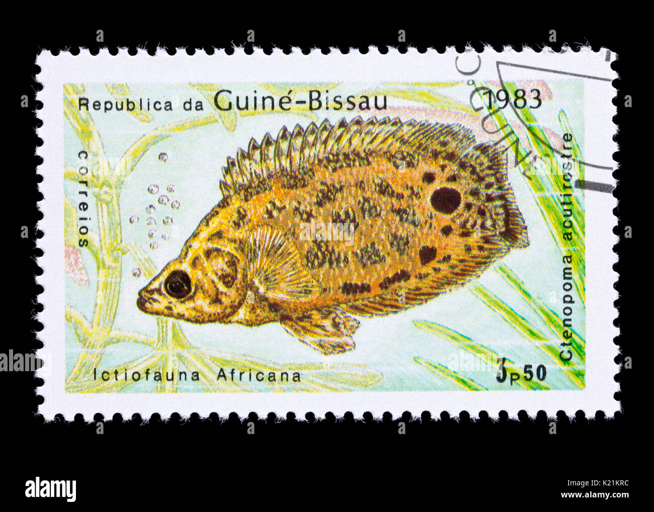 Postage stamp from Guinea-Bissau depicting a leopard bushfish (Ctenopoma acutirostre) Stock Photo