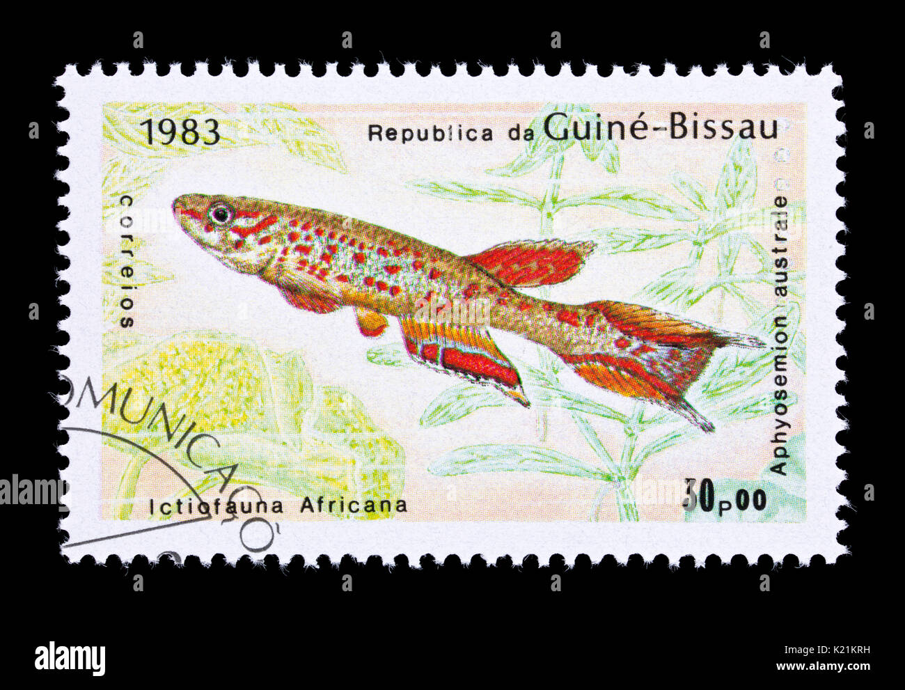Postage stamp from Guinea-Bissau depicting a (Aphyosemion australe) Stock Photo