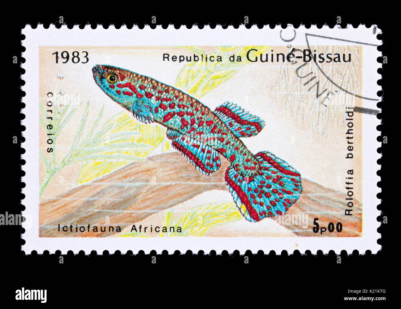 Postage stamp from Guinea-Bissau depicting a (Roloffia bertholdi) Stock Photo