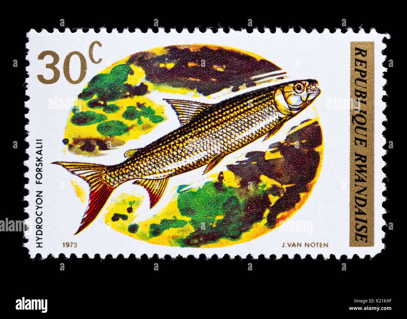Postage stamp from Rwanda depicting a Elongate tigerfish (Hydrocynus forskahlii) Stock Photo