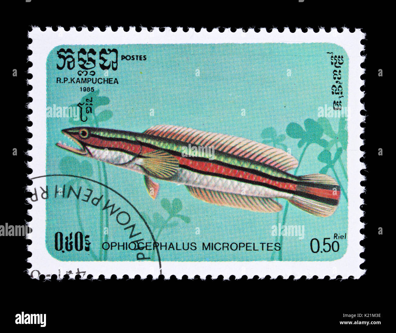 Postage stamp from Cambodia (Kampuchea) depicting a giant snakehead or giant mudfish (Channa micropeltes) Stock Photo