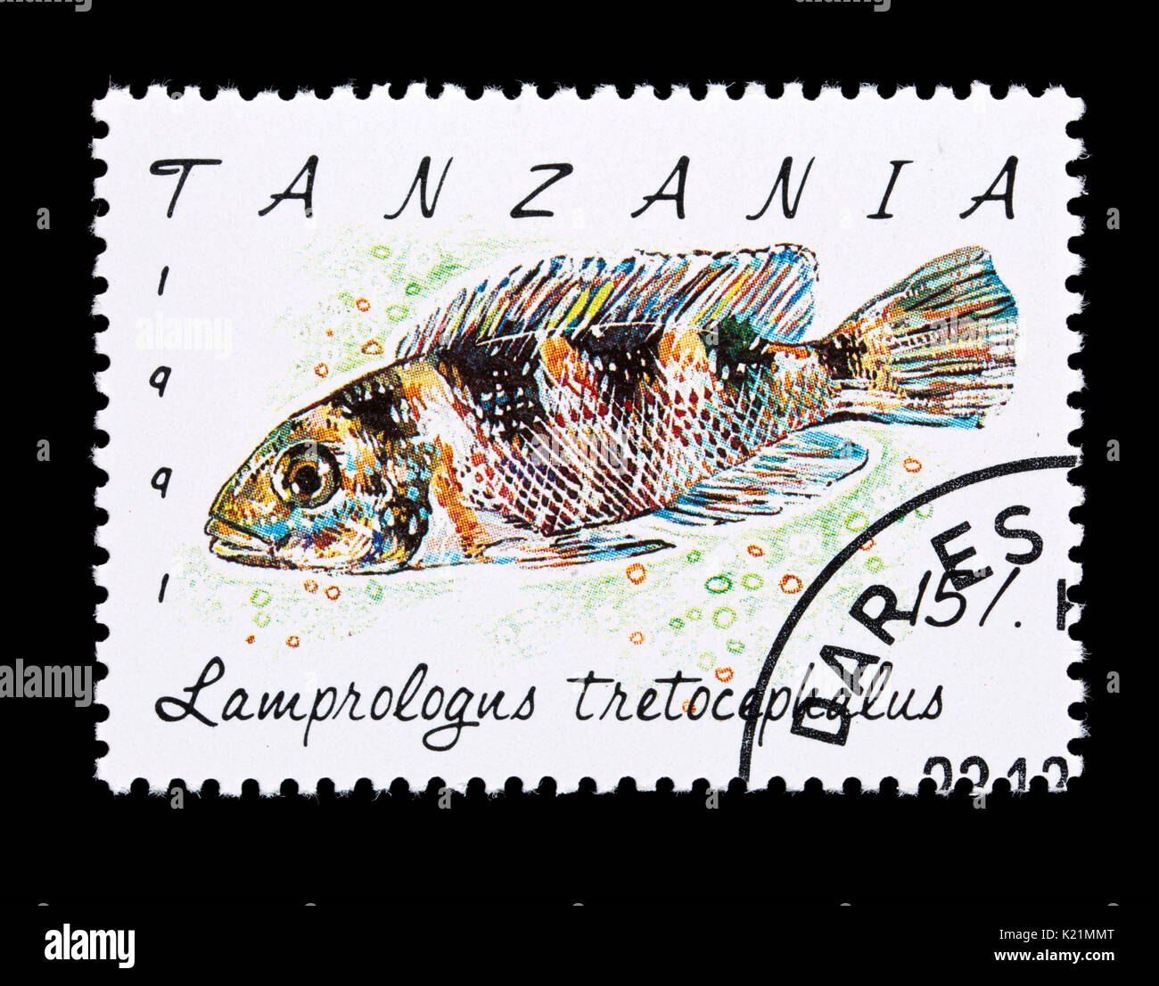 Postage stamp from Tanzania depicting a Five Barred Cichlid (Neolamprologus tretocephalus) Stock Photo