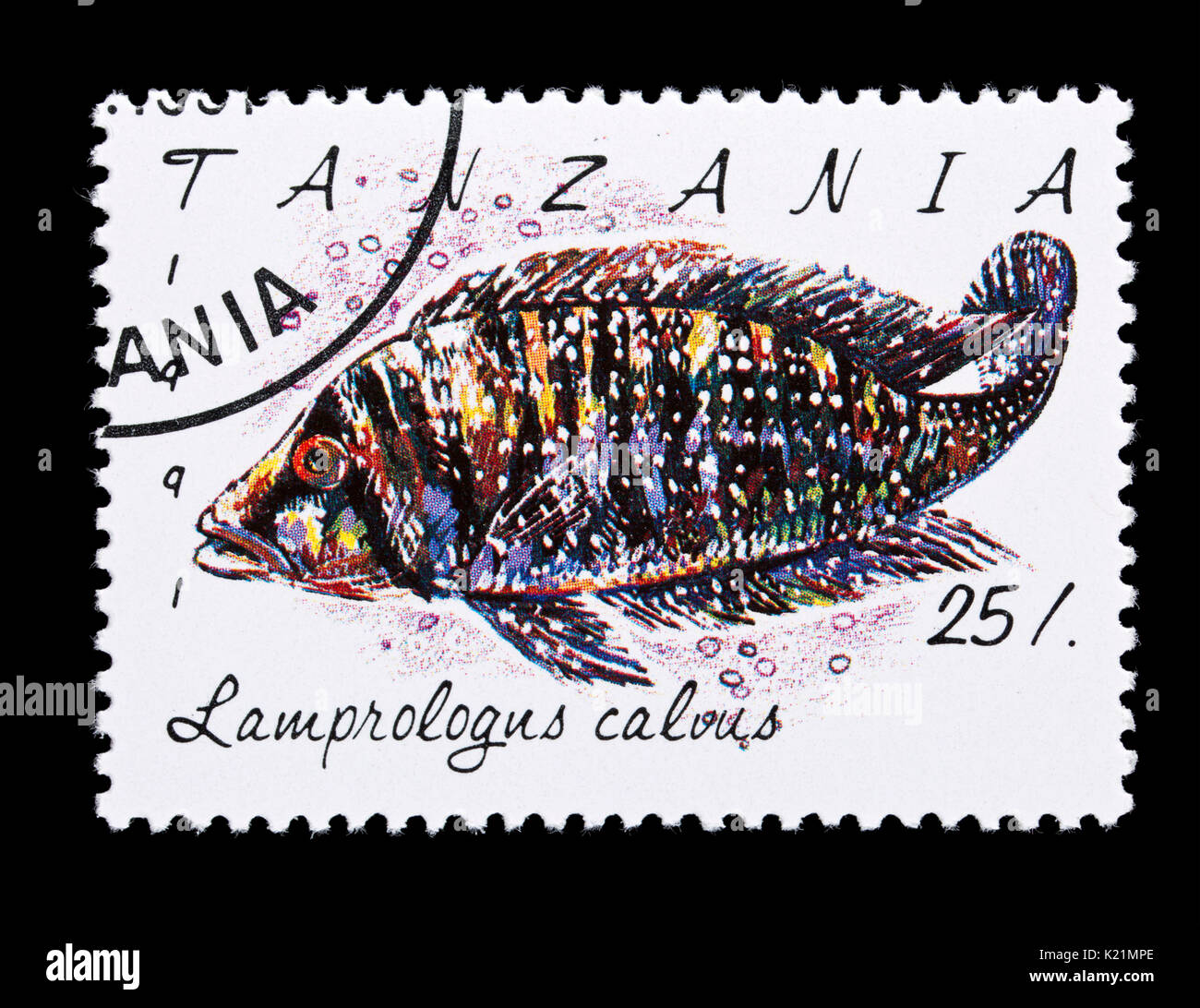 Postage stamp from Tanzania depicting a White Pearly Calvus  (Altolamprologus calvus) Stock Photo