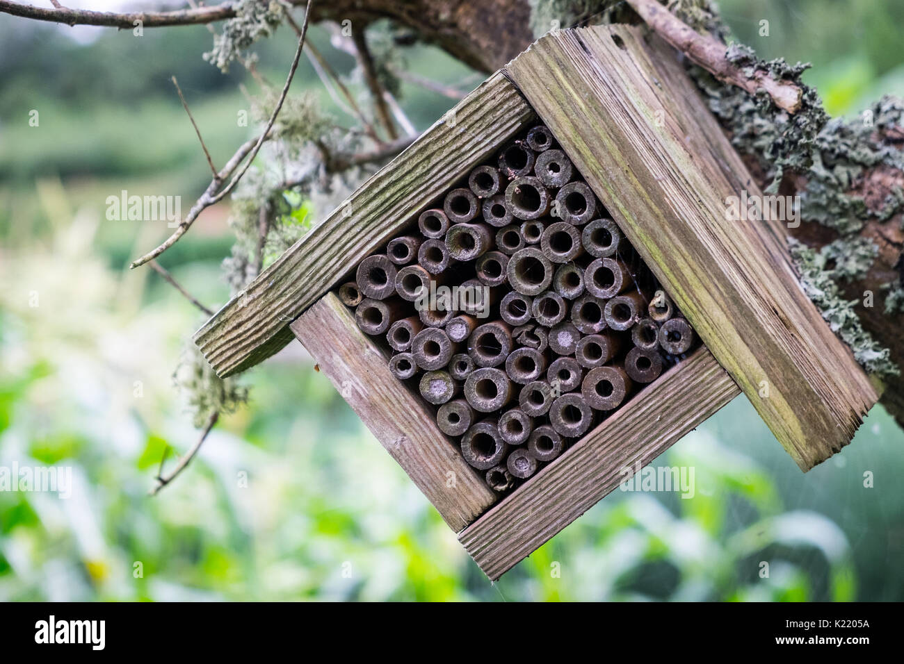 A wooden bug hotel hanging in a tree Stock Photo