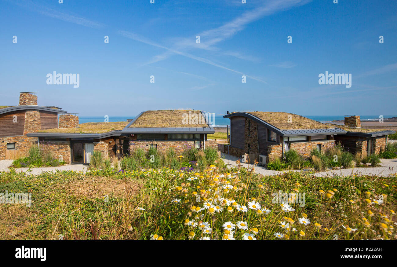 Modern house / bungalow with insulating sod roof / green living roof and black piping for solar water heating at Widemouth Bay, Cornwall, England Stock Photo