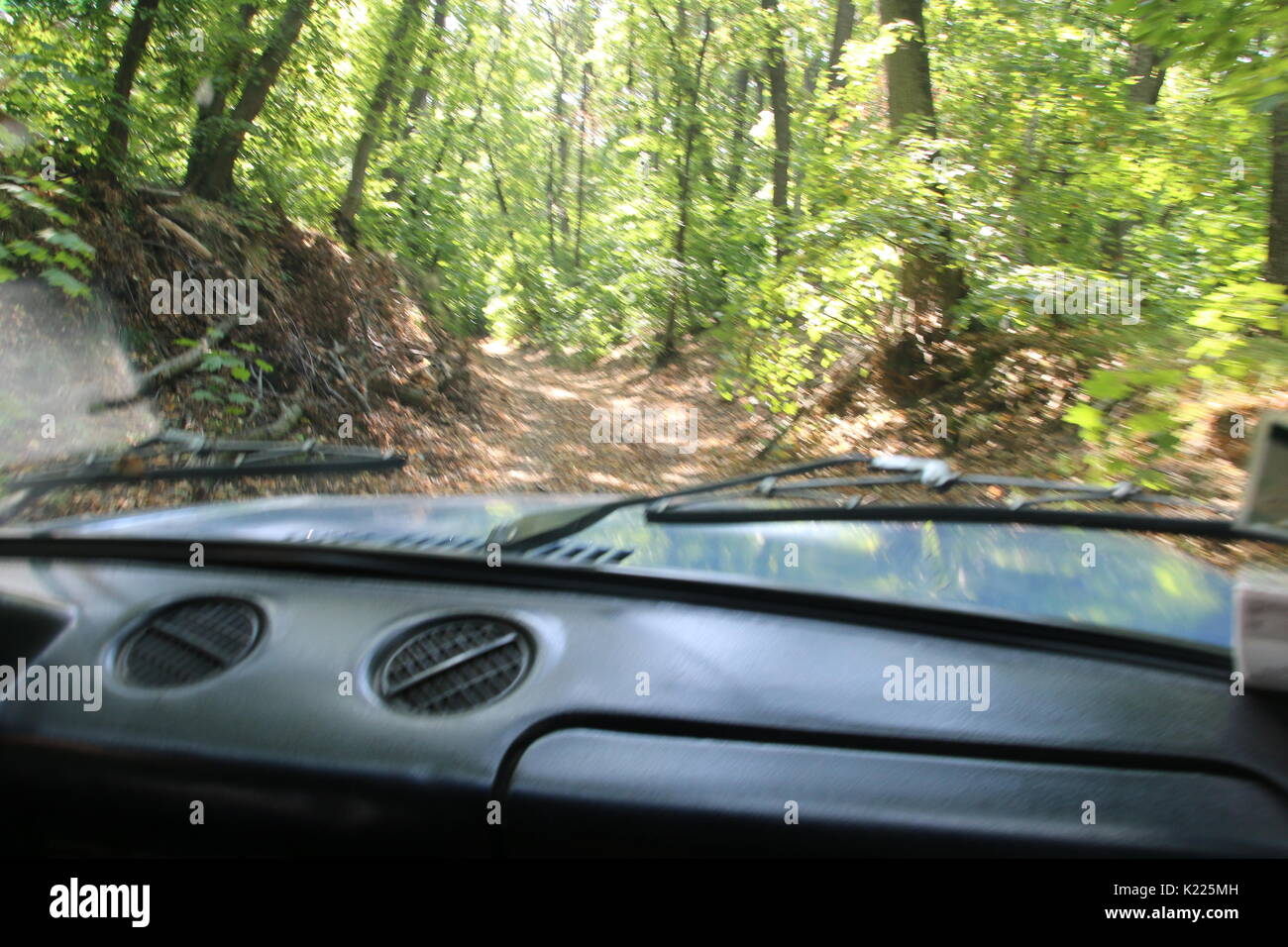 car driving nto forest, travel concept, blurred background photo Stock Photo