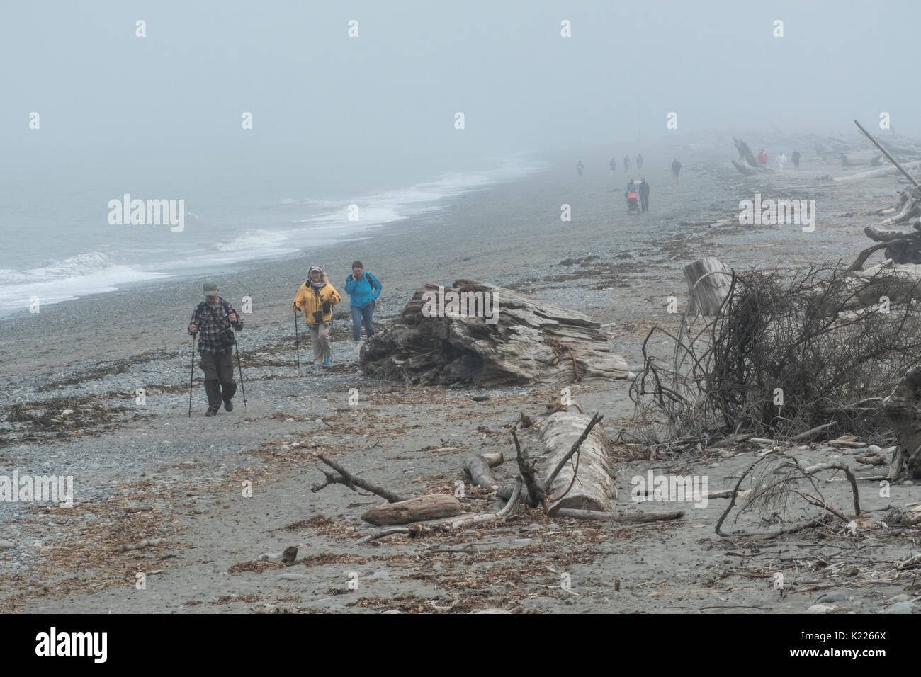 Hiking Dungeness Spit, the world's longest natural sand spit. Olympic Peninsula, Washington State, USA Stock Photo