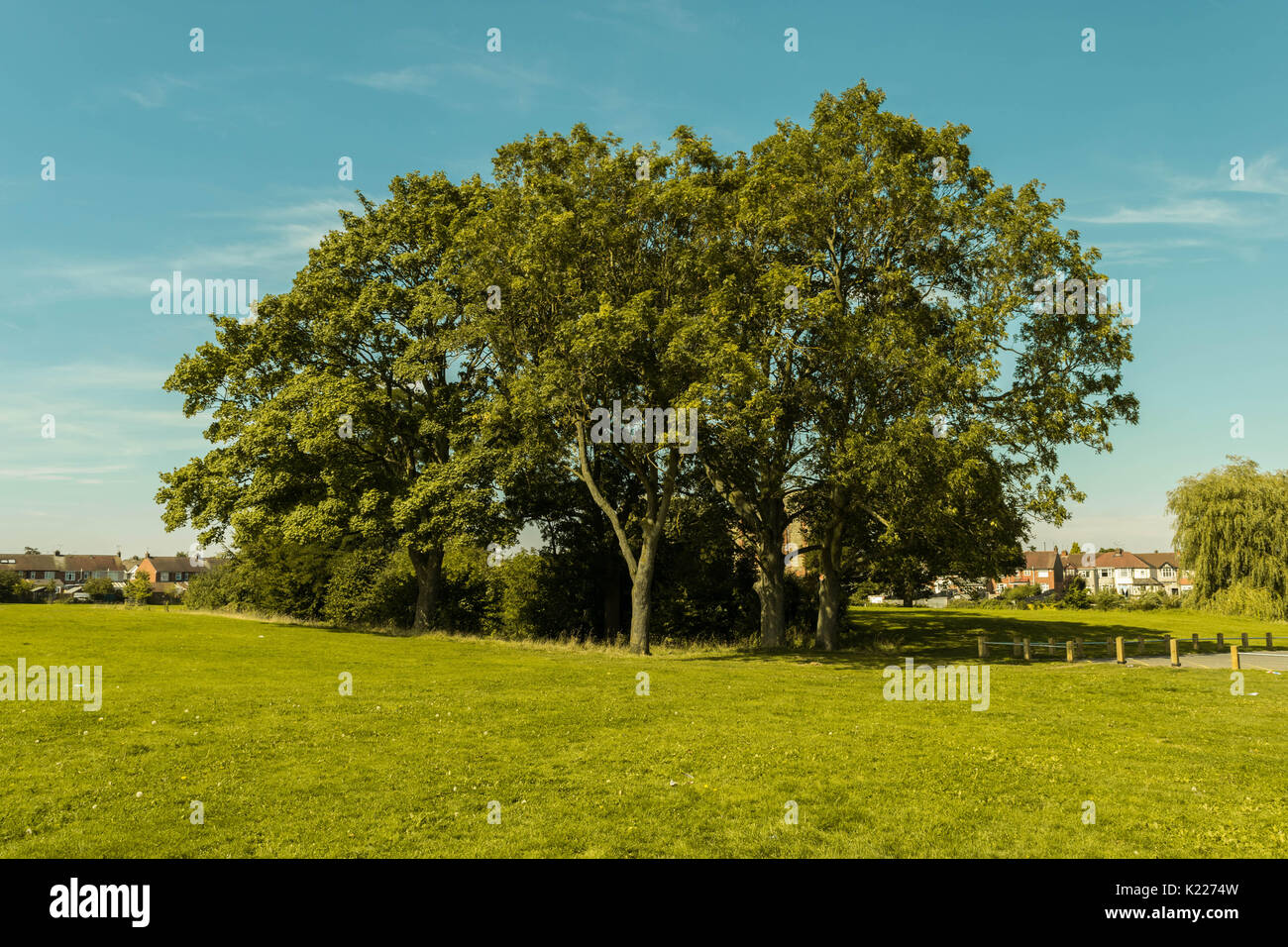 Beautiful Caludon castle Park, Coventry, United Kingdom Stock Photo Alamy
