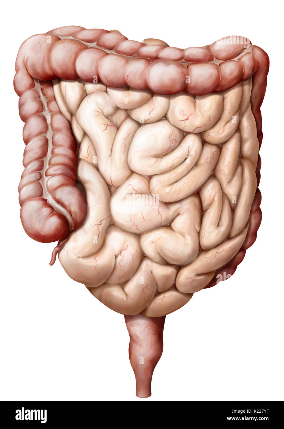 epub urogenital pain