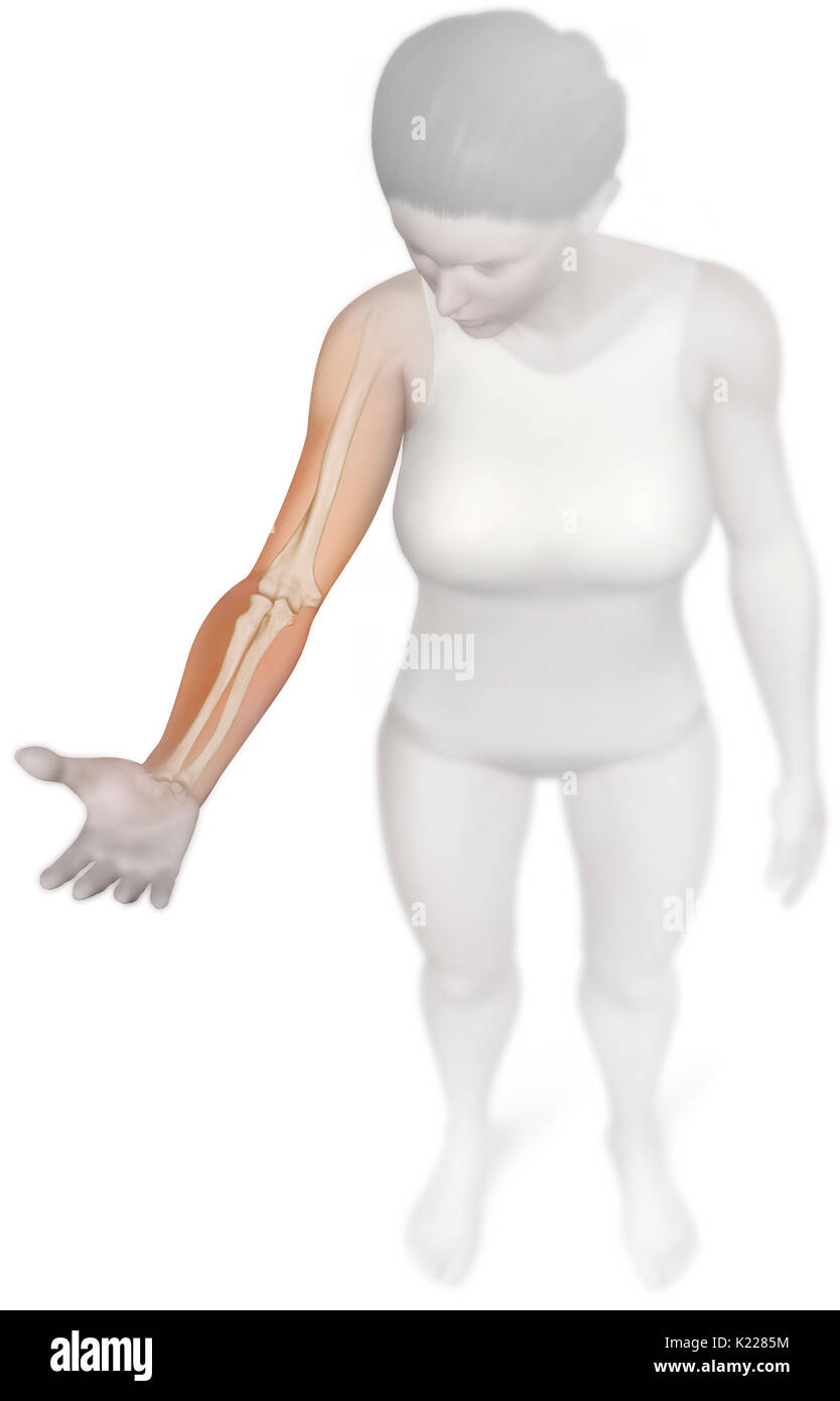 Elbow flexion and extension hi-res stock photography and images - Alamy Elbow flexion and extension hi-res stock photography and images - Alamy