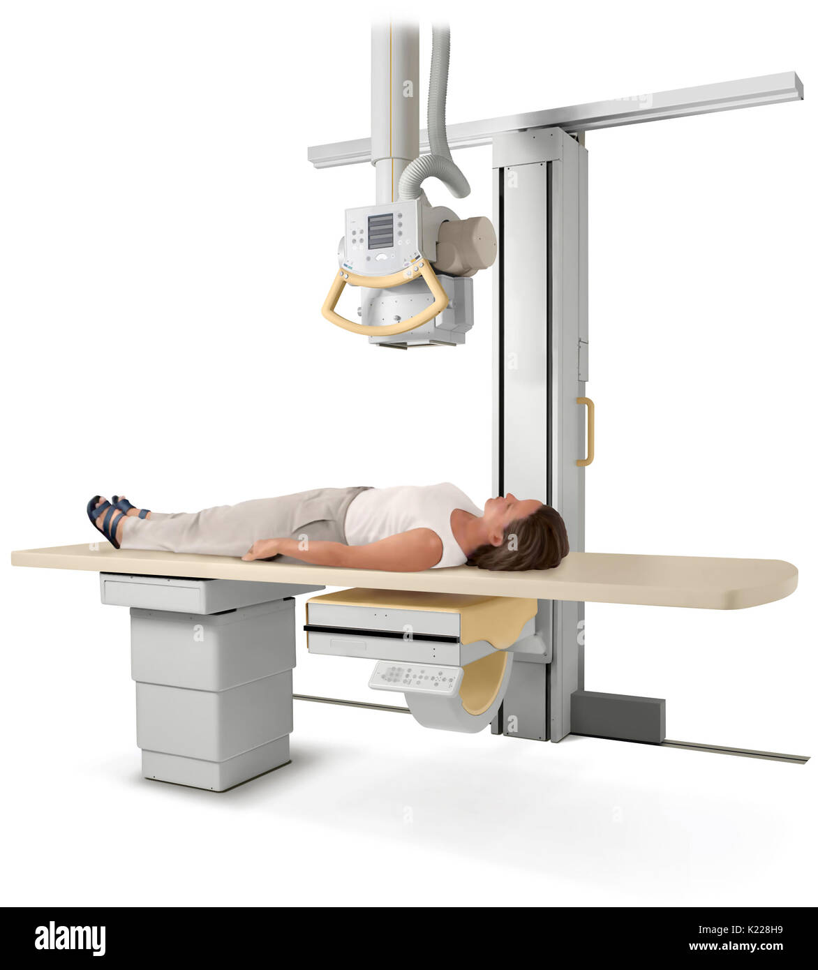 Radiographic imaging Cut Out Stock Images & Pictures Alamy