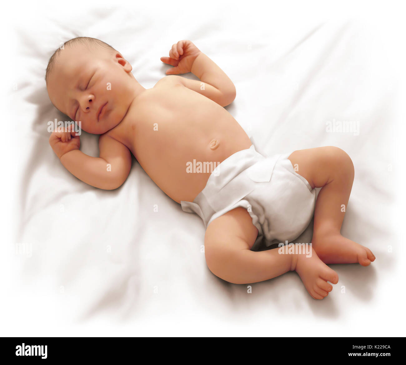 This image shows the morphology of a baby. Stock Photo