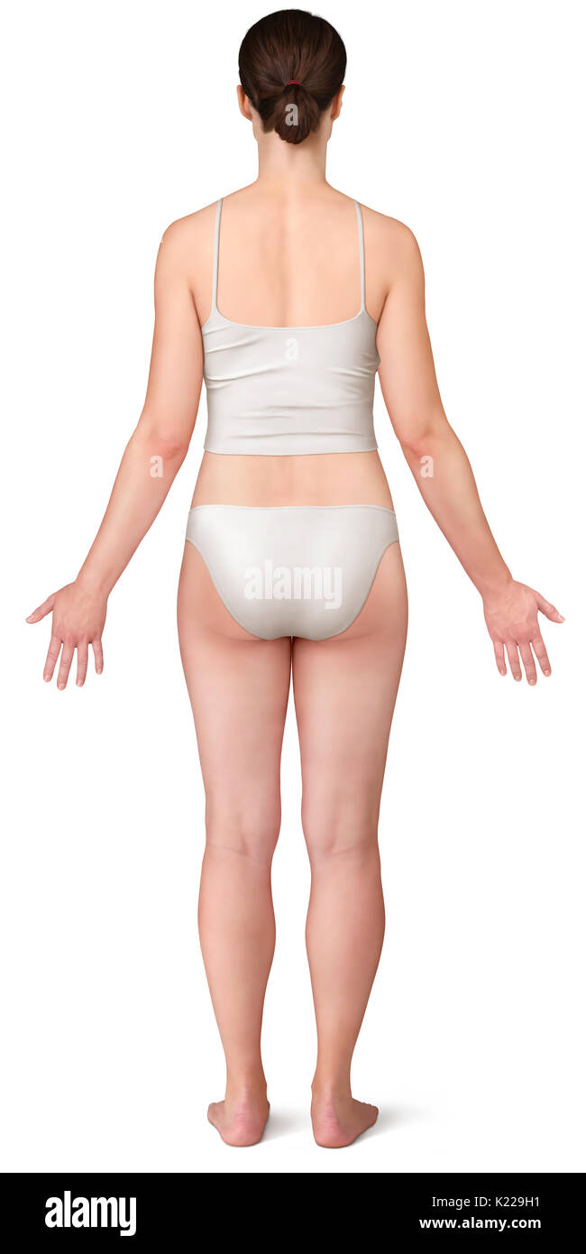 This image shows a posterior view of the woman's morphology. Stock Photo