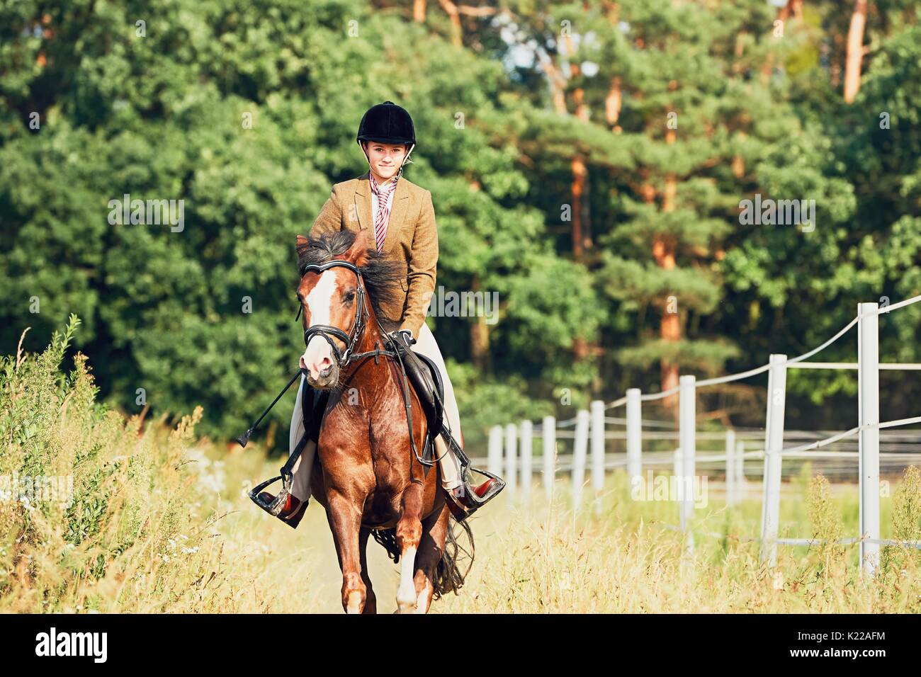 верхом на лошади вороной. чёрная лошадь во сне. верховая езда на лошади. едет на коне. девушка на лошади на закате.