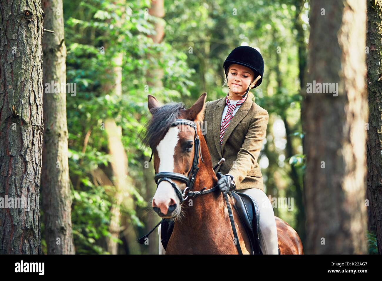 Teenage girl in formal wear riding a horse in forest. Stock Photo