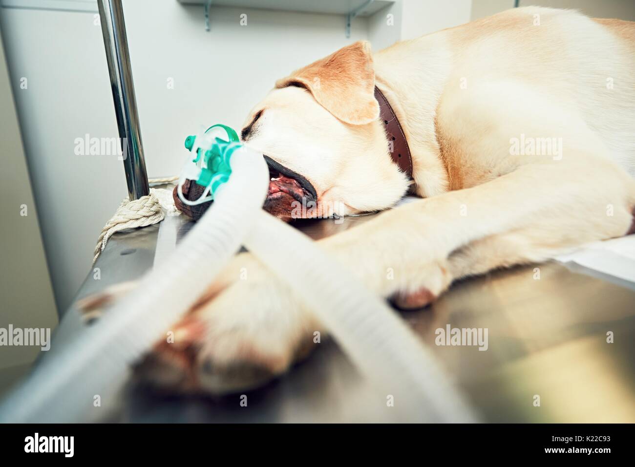 Breathing device hires stock photography and images Alamy