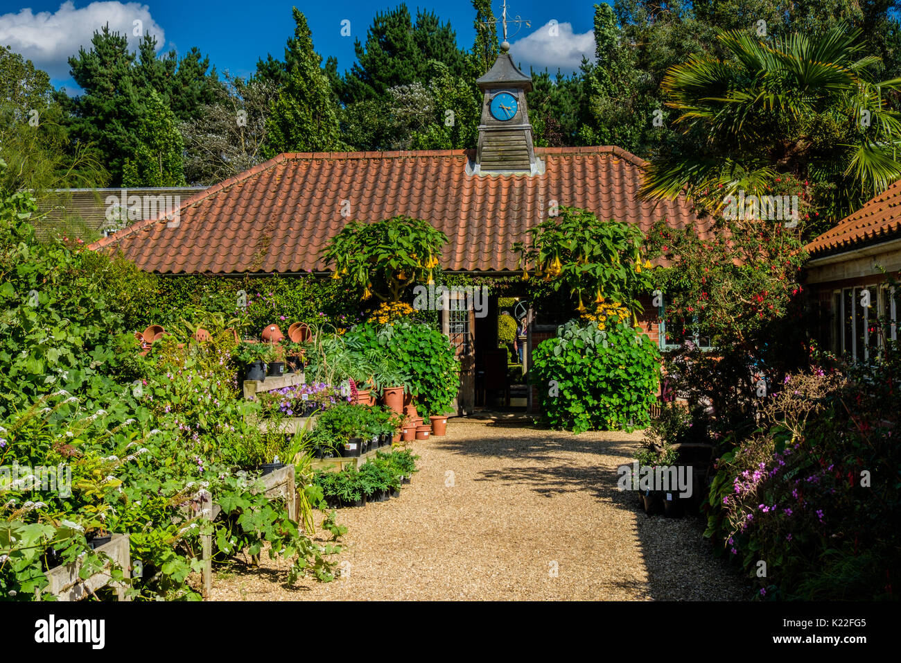 East Ruston Old Vicarage Gardens, East Ruston, Norfolk, UK Stock Photo
