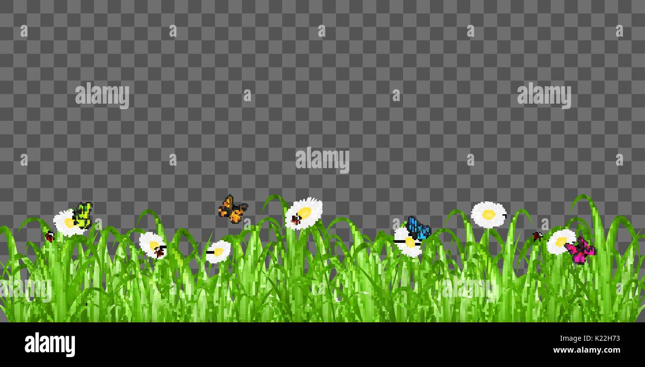 real green grass with flower and butterfly ladybug Stock Vector Image ...