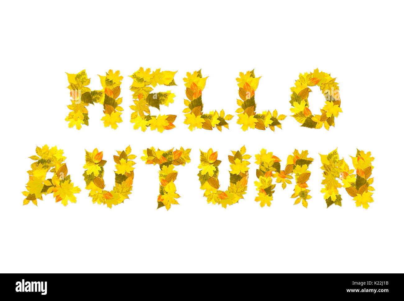 Hello autumn. A phrase from the letters of autumn leaves. Isolated on