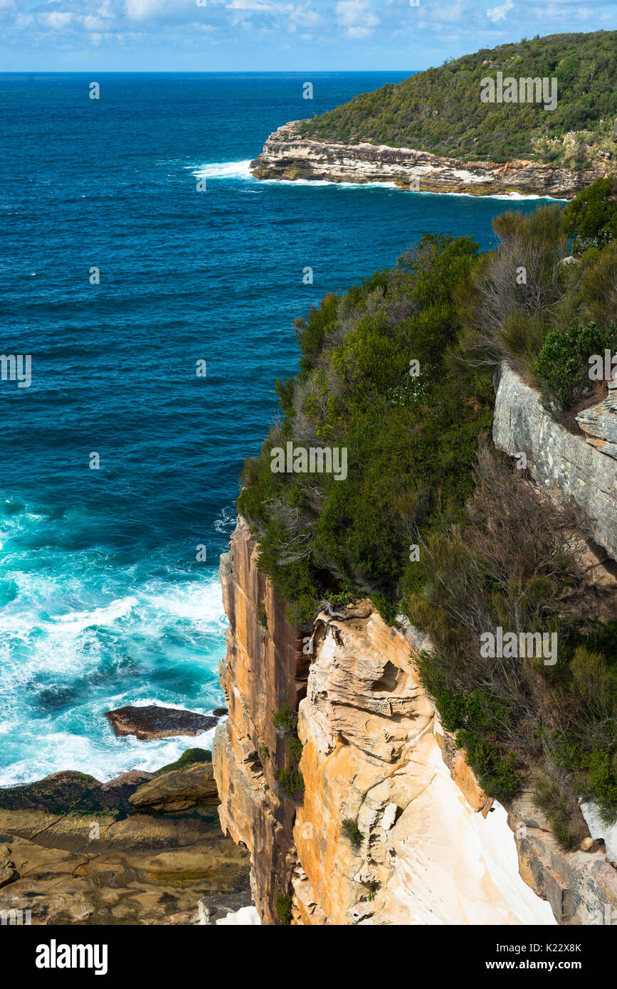 Shelly Headland path, Manly, Sydney, New South Wales, Australia. Stock Photo