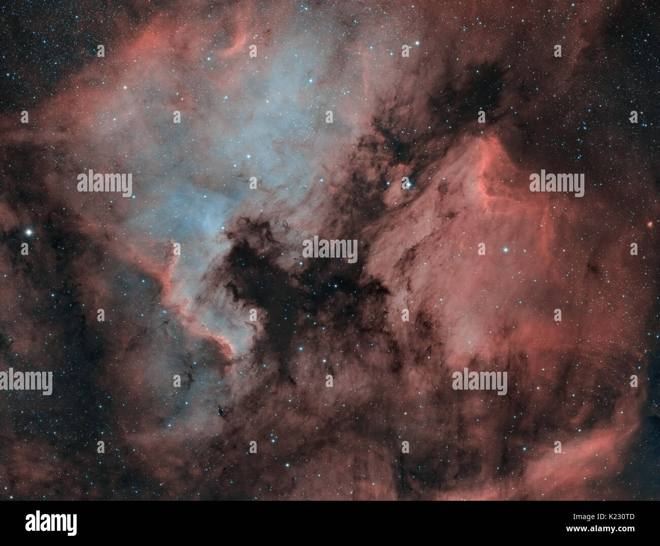 North America and Pelican Nebulae in the consteallation of Cygnus (The Swan) - Bicolor Stock Photo