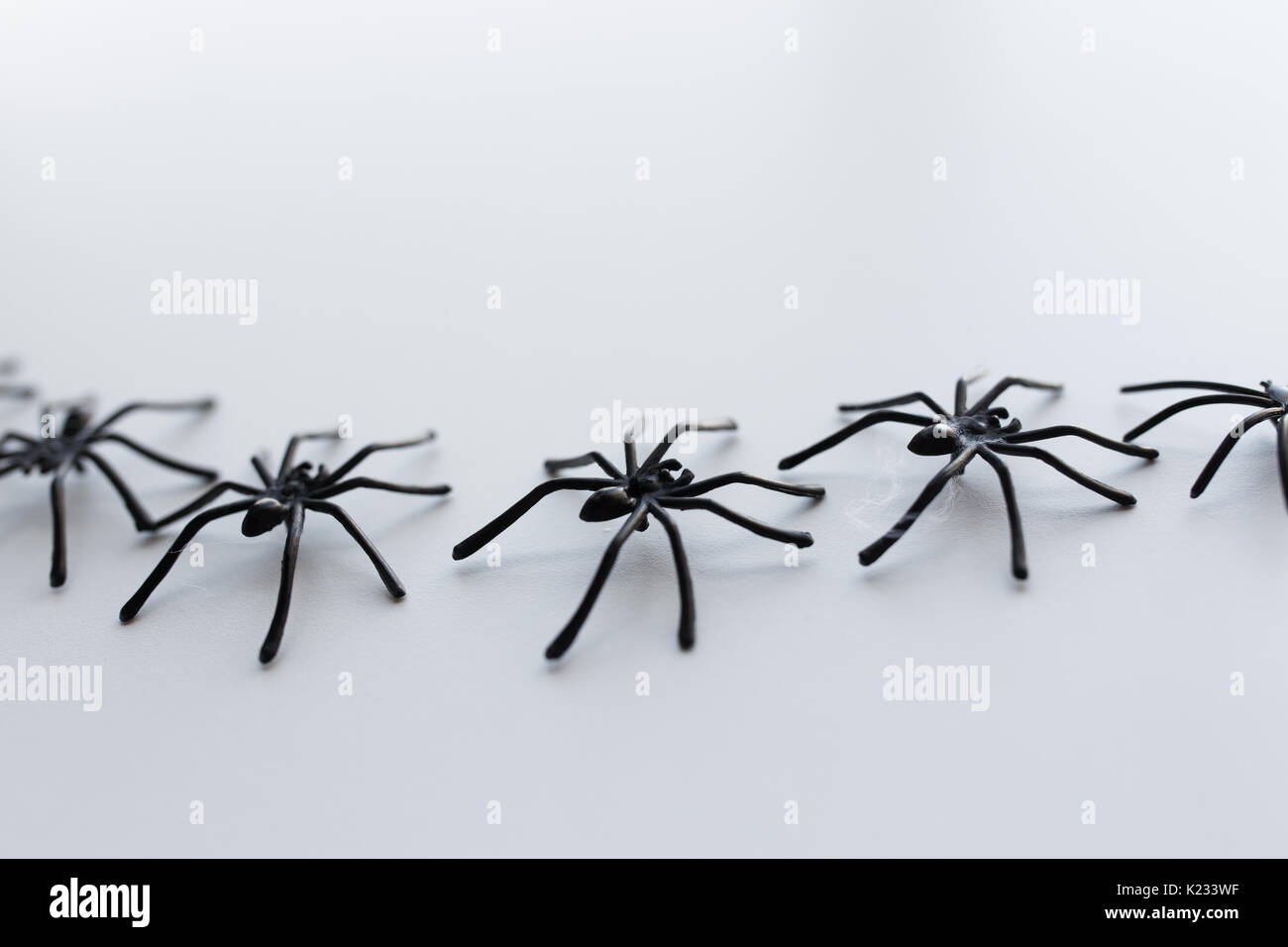black toy spiders chain on white background Stock Photo