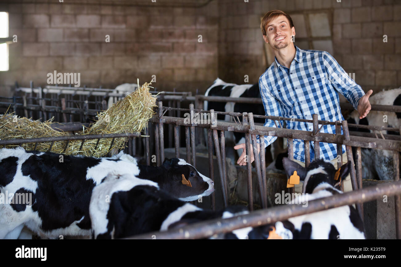 young smiling male farmer standing next to cows on farm Stock Photo - Alamy
