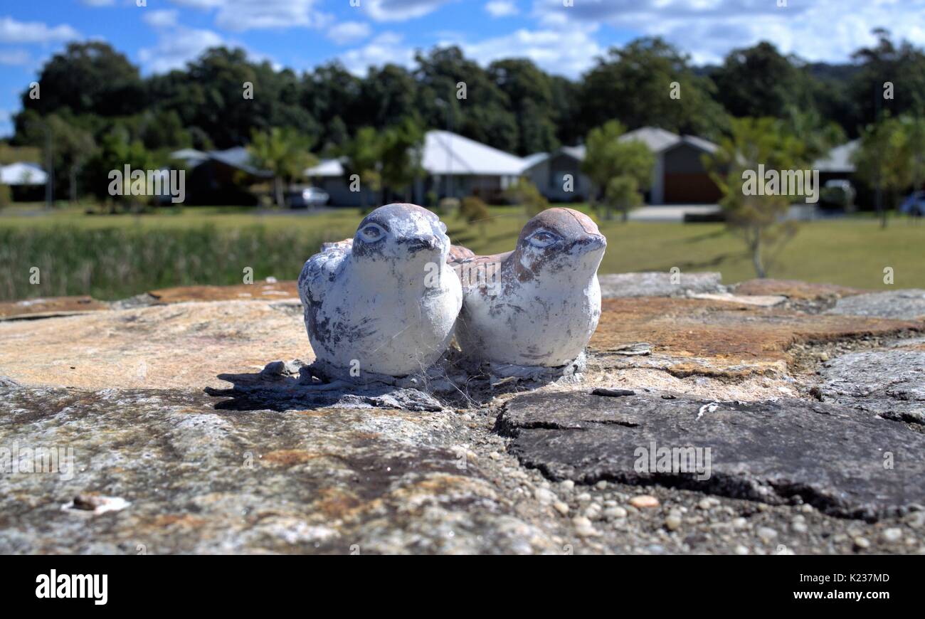 Australian garden birds hires stock photography and images Alamy