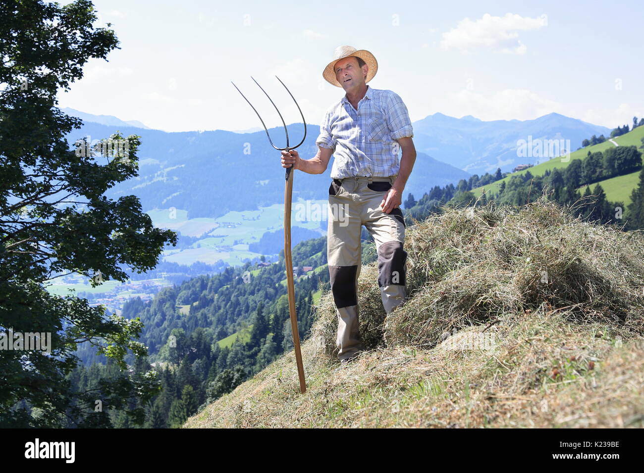 A Mountain farmer with pitchfork harvesting hay Stock Photo