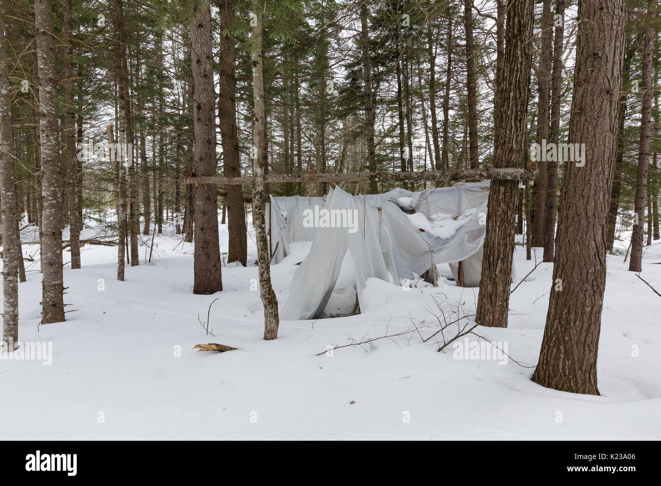 Abandoned campsite at Elbow Pond in Woodstock, New Hampshire USA during the winter months. Stock Photo