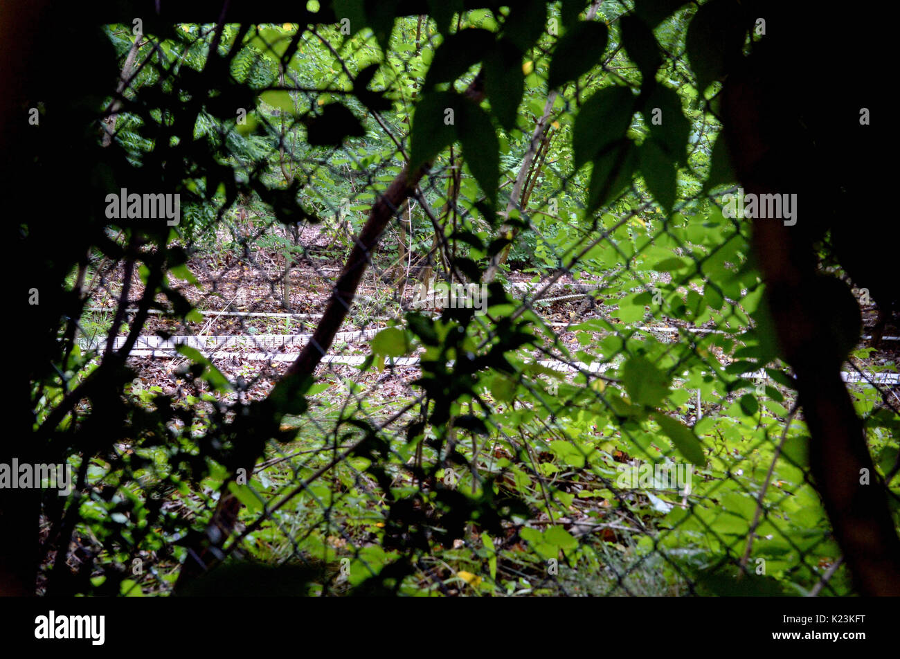 Berlin, Germany. 11th Aug, 2017. A tennis facility - closed and unused since 2007 - in a listed residential facility near to the Schaubuhne photographed through bushes and a fence in Berlin, Germany, 11 August 2017. Author Vladimir Nabokov used to give tennis lessons here in the 1920s. He gained worldwide recognition with his novel, 'Lolita', the basis for which Nabokov laid in Berlin. Photo: Christina Peters/dpa/Alamy Live News Stock Photo